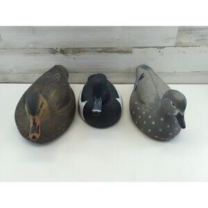 Greenhead Gear Duck Decoy Lot Of 3 Ringneck Drake Mallard Hen Wood Duck Hen